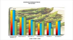 Espárragos Frescos Perú Exportación 2025 Abril