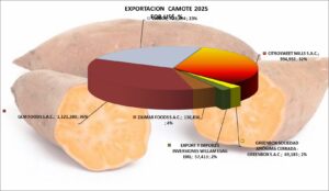 Camote Perú Exportación 2025 Junio