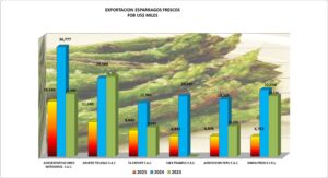 Espárragos Frescos Perú Exportación 2025 Junio
