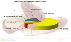 Nueces de Brasil sin Cáscara Perú Exportación 2025 Agosto
