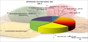 Alpaca Hilado Pelo Fino Agosto 2025