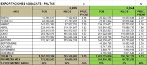 Aguacate Paltas Perú Exportación 2025 Agosto