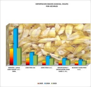 Maíz Cancha Chullpi Perú Exportación 2025 Septiembre