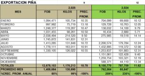 Piñas Frescas Perú Exportación 2025 Septiembre