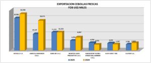 Cebolla fresca Perú Exportación 2025 Diciembre