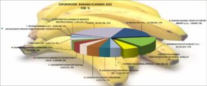 Plátano Banano Perú Exportación 2025 Diciembre