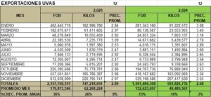 Uvas Frescas Perú Exportación 2025 Diciembre