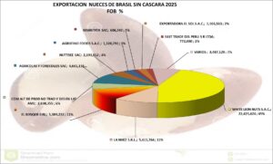 Nueces de Brasil sin Cáscara Perú Exportación 2025 Diciembre