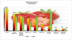 Fresas Perú Exportación 2025 Diciembre