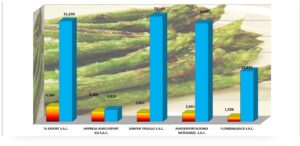 Espárragos Frescos Perú Exportación 2026 Febrero