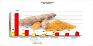 Cúrcuma Perú Exportación 2026 Marzo