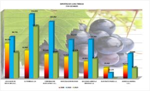 Uvas Perú Exportación 2026 Marzo