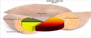 Camote Perú Exportación 2026 Abril