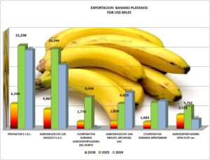 Plátano Banano Perú Exportación 2026 Abril