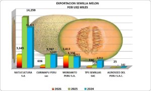 Semilla de Melón Perú Exportación 2026 Abril