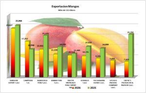 Mangos Frescos Perú Exportación 2026 Mayo
