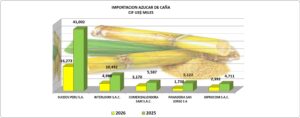 Azúcar de Caña Refinada Perú Importación 2026 Junio