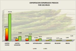Espárragos Frescos Perú Exportación 2026 JUlio