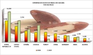 Nueces de Brasil sin cáscara Perú Exportación 2026 Julio