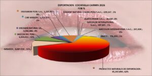 Cochinilla Carmin Perú Exportación 2026 JUlio