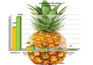 Piña Fresca Perú Exportación 2026 Agosto