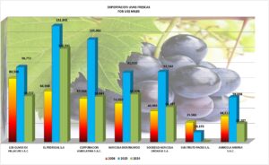 Uvas Perú Exportación 2026 Agosto