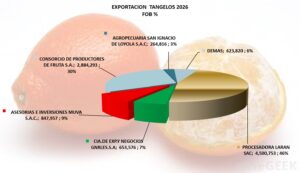 Tangelos Perú Exportación 2026 Agosto